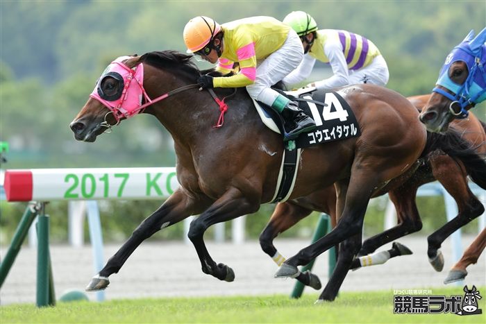 早め先頭から押し切ったコウエイタケル